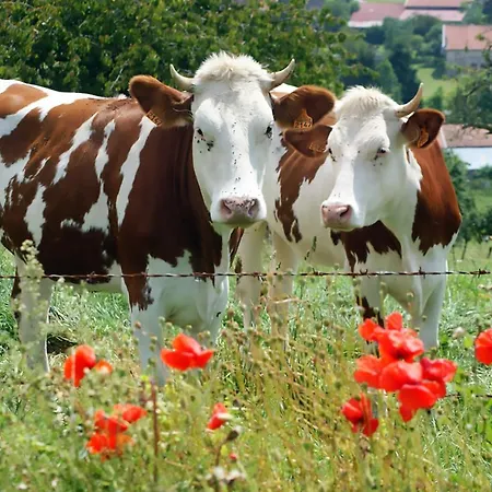 Arara Montfaucon-d'Argonne