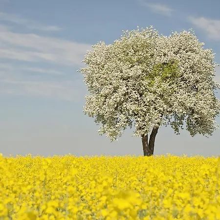Panzió Arara Montfaucon-d'Argonne