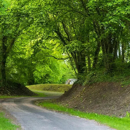 住宿加早餐酒店 Arara