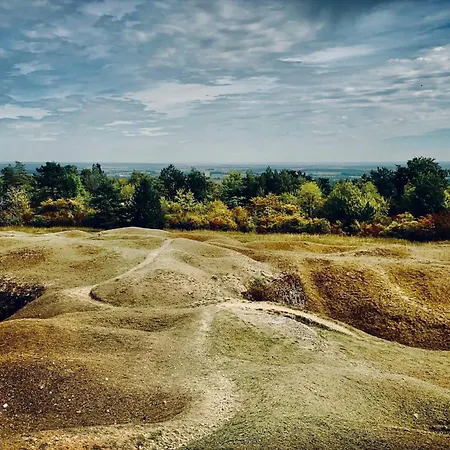 住宿加早餐酒店 Arara