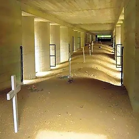 Arara 3*