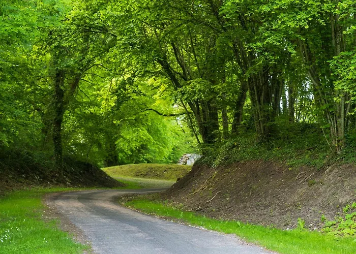 Bed & Breakfast Arara