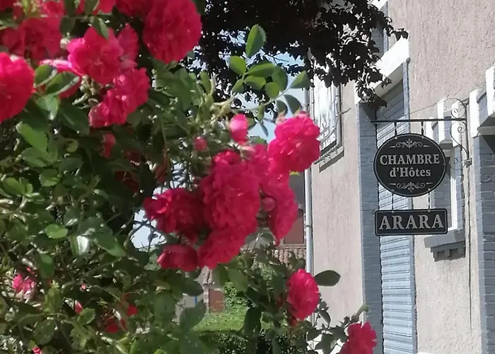 Arara 3* Montfaucon-d'Argonne