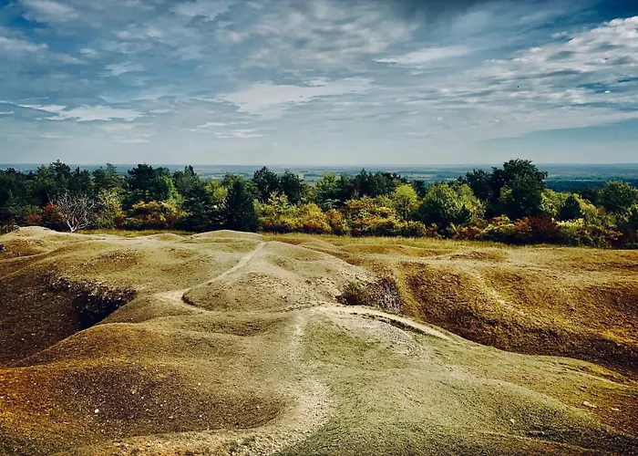 住宿加早餐酒店 Arara